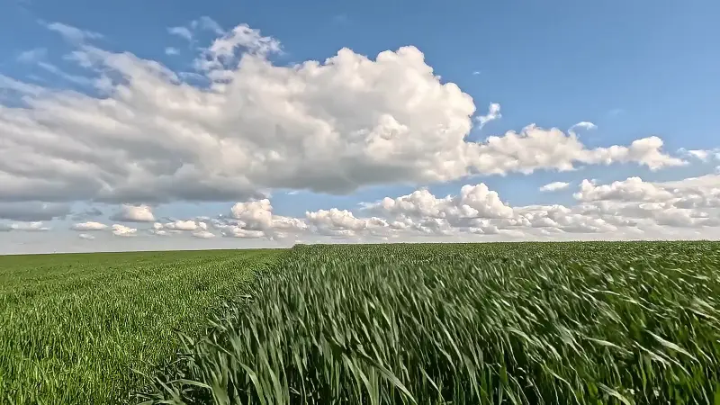 Standbild aus dem Video „Start“